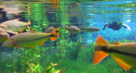 bonito-mato-grosso-do-sul brasil