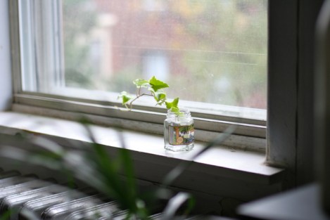 window-sill