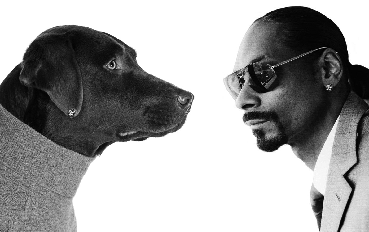 Sw Doogan and thank God for Snoop Dogg | Wondering Fair